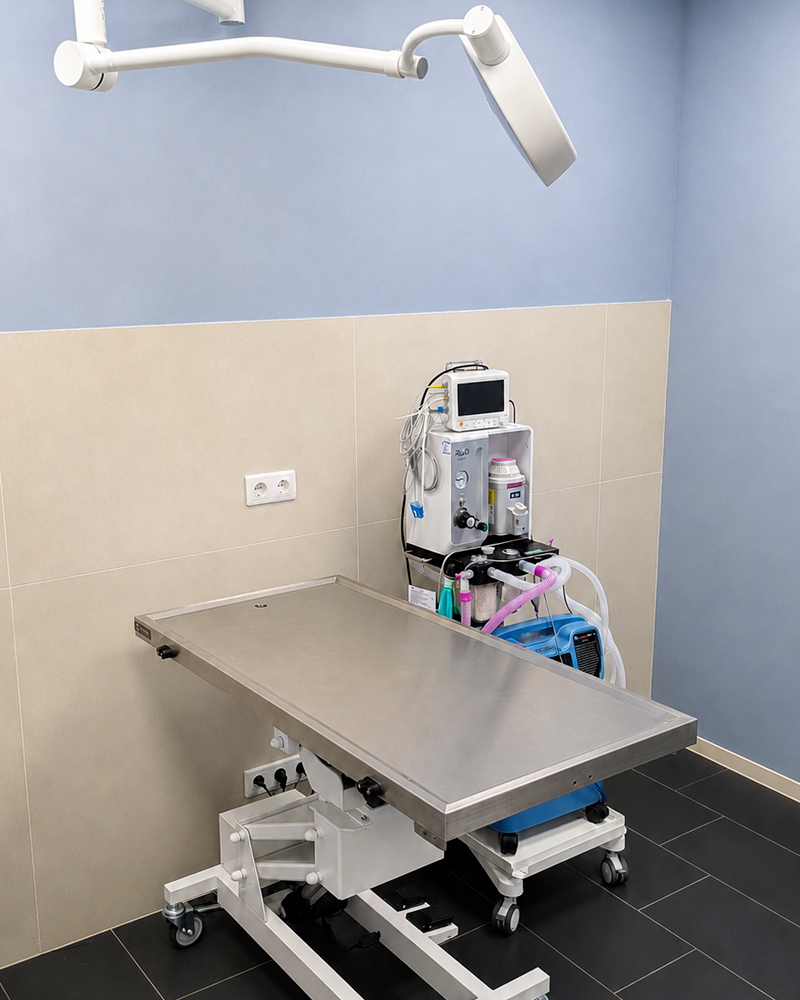 Chirurgie vétérinaire - Aix La Duranne