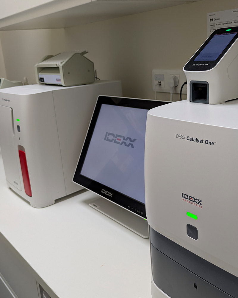 Laboratoire d'analyse vétérinaire - Aix La Duranne