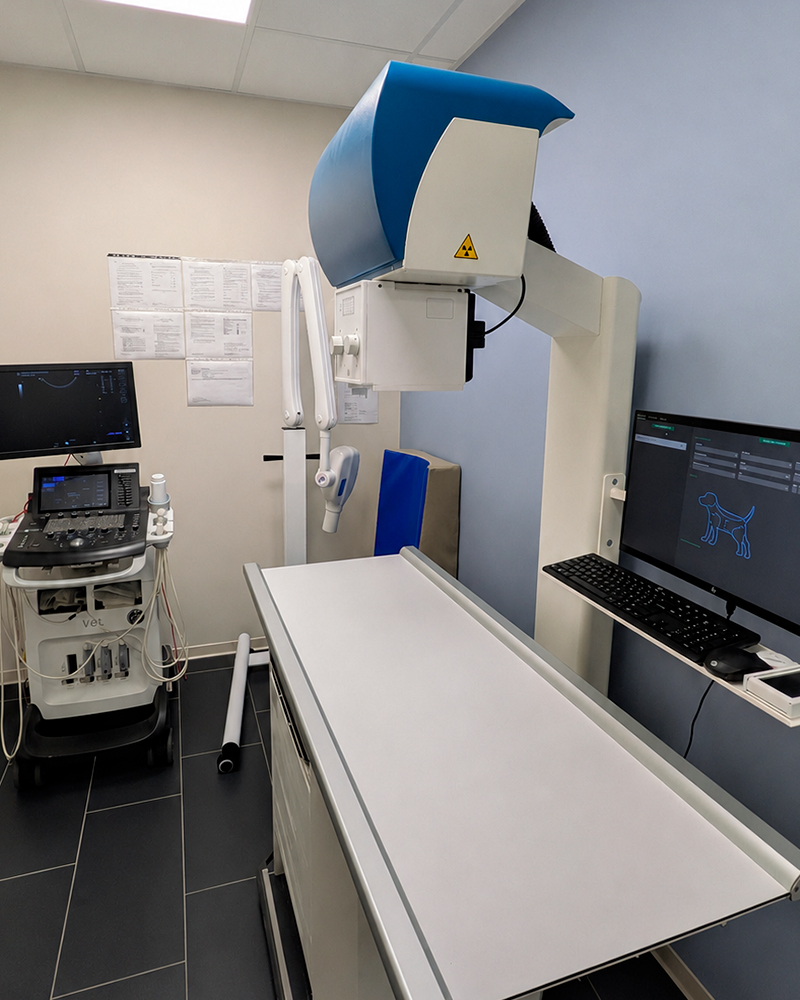 Radiographie vétérinaire - Aix La Duranne